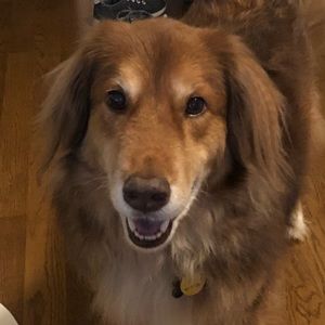 Meet your Posher, Mel